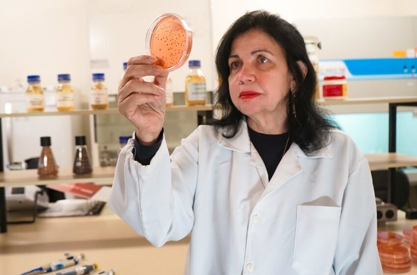  Ganhadora do “Prêmio Nobel da Agricultura” exalta mulheres