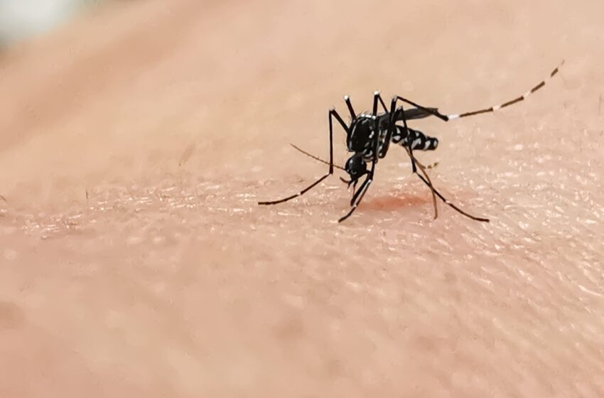 Justiça para Crianças com Zika